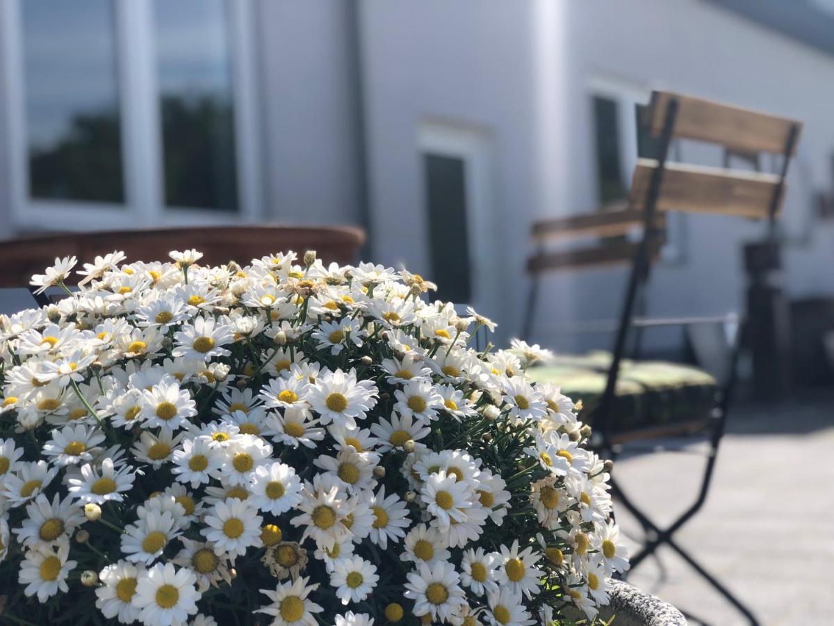 Pension Zum Stein Hohenkirchen  Eksteriør bilde